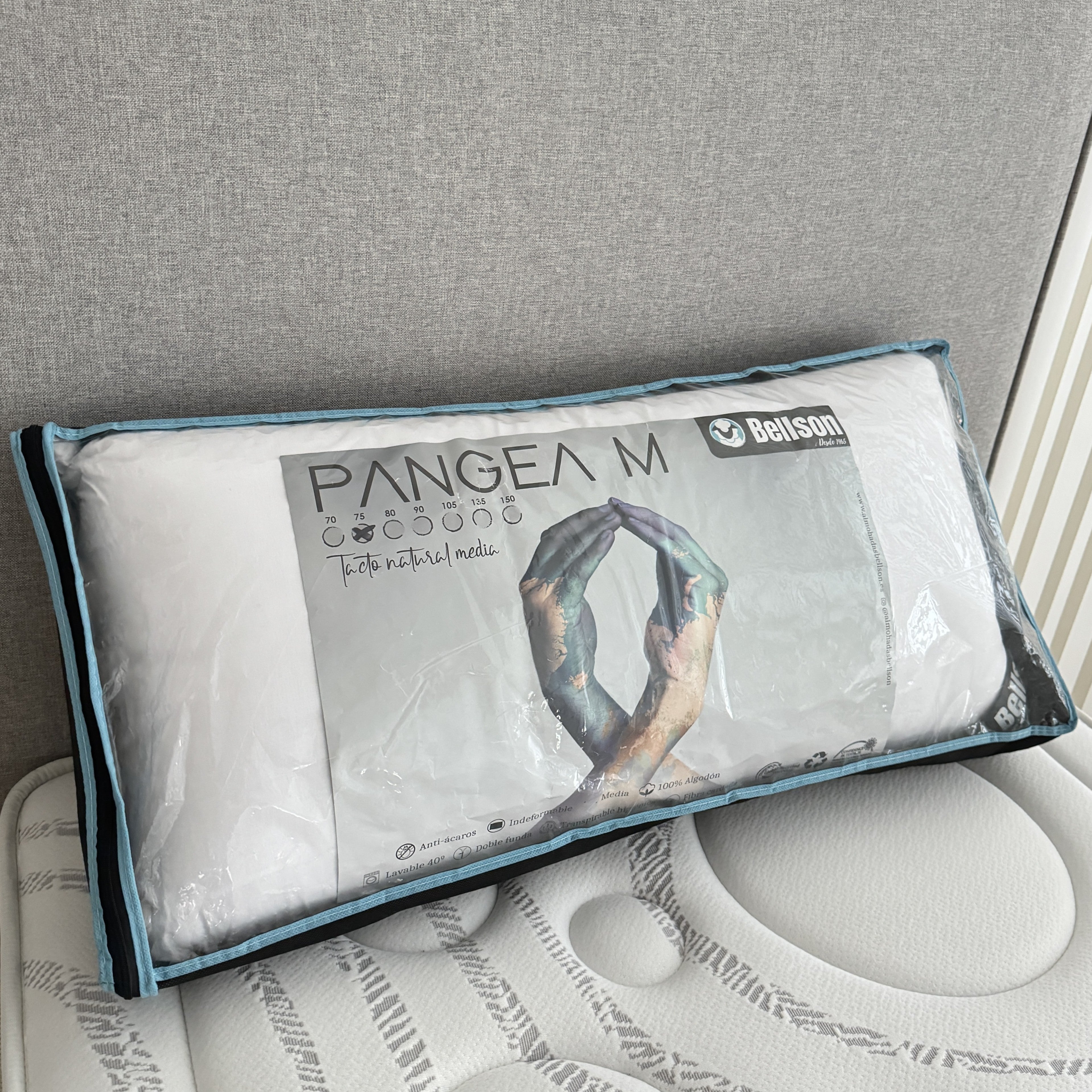 Almohada de Fibra Pangea M - Kay Mobiliari