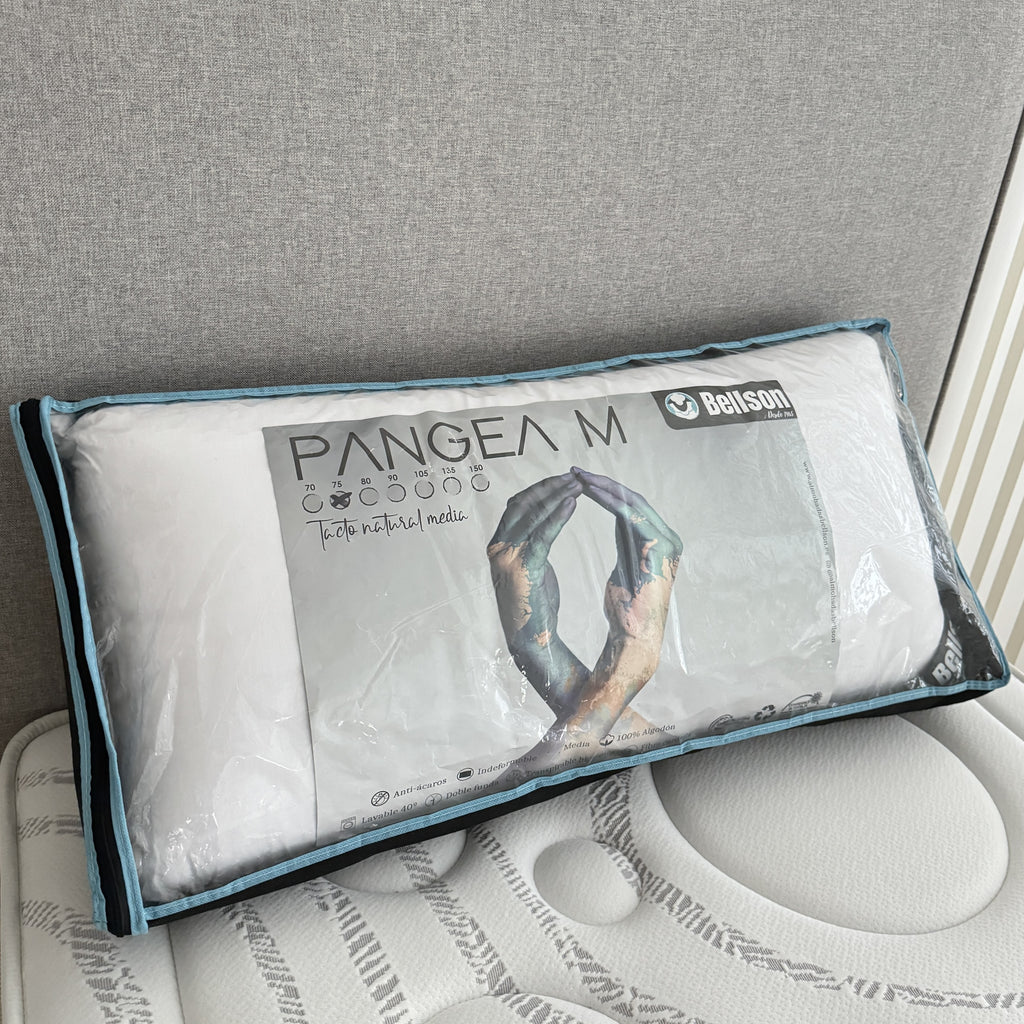 Almohada de Fibra Pangea M - Kay Mobiliari